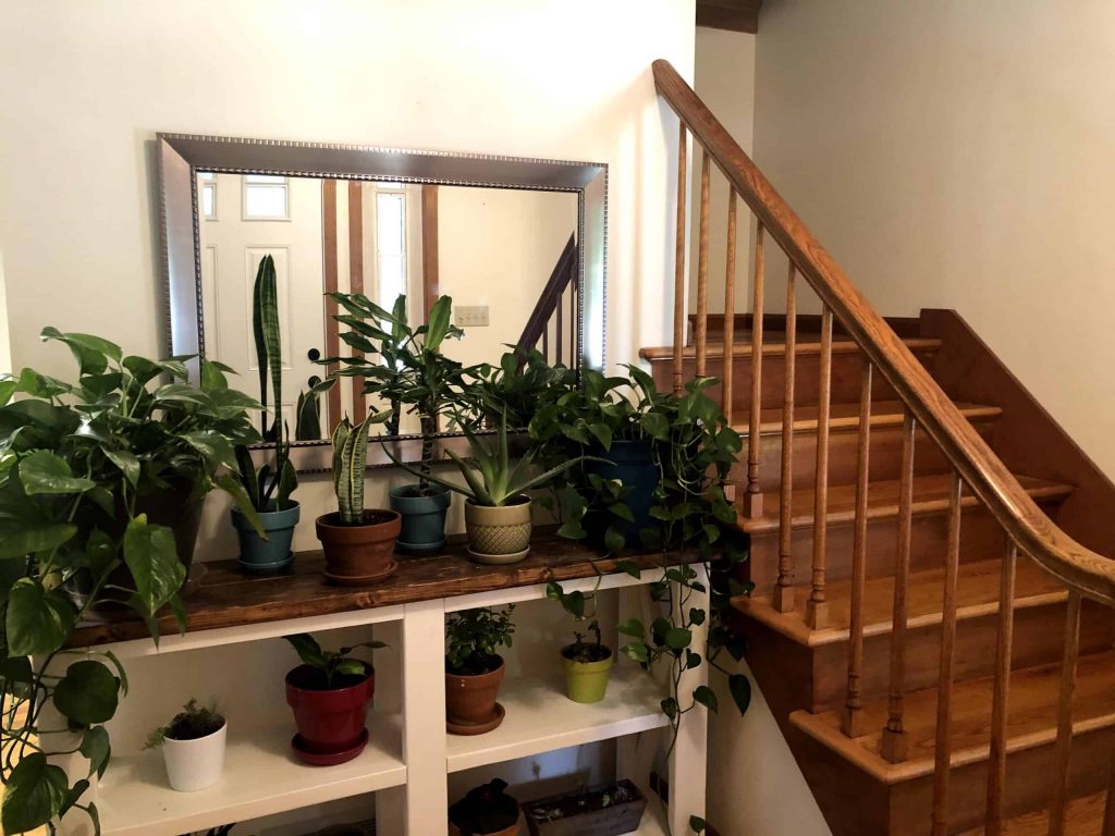 Content image for Creative DIY Ideas for Every Corner