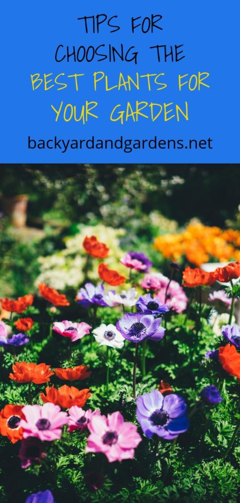 Content image for Choosing the Right Exterior Plants