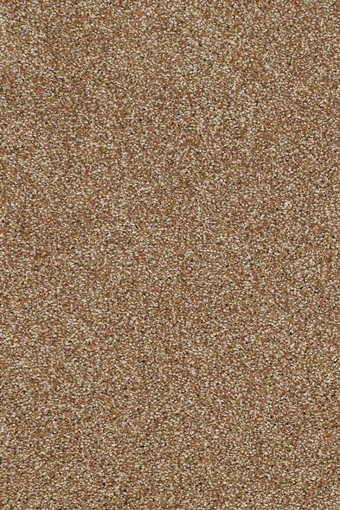 Content image for Carpet Flooring: Comfort and Warmth