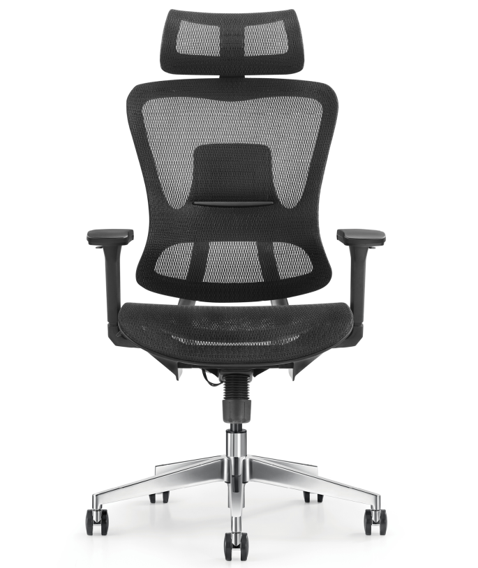 Content image for Ergonomic Chairs: The Right Choice for Productivity